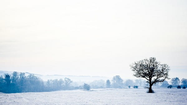 Winterwonderland wallpaper hd download